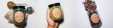 Why Gut Health Is the Foundation of Healthy Hair